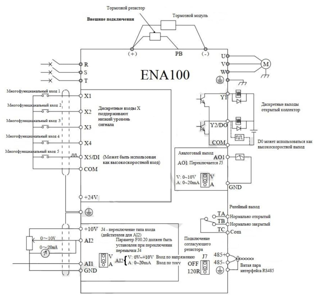 ENA100.jpg